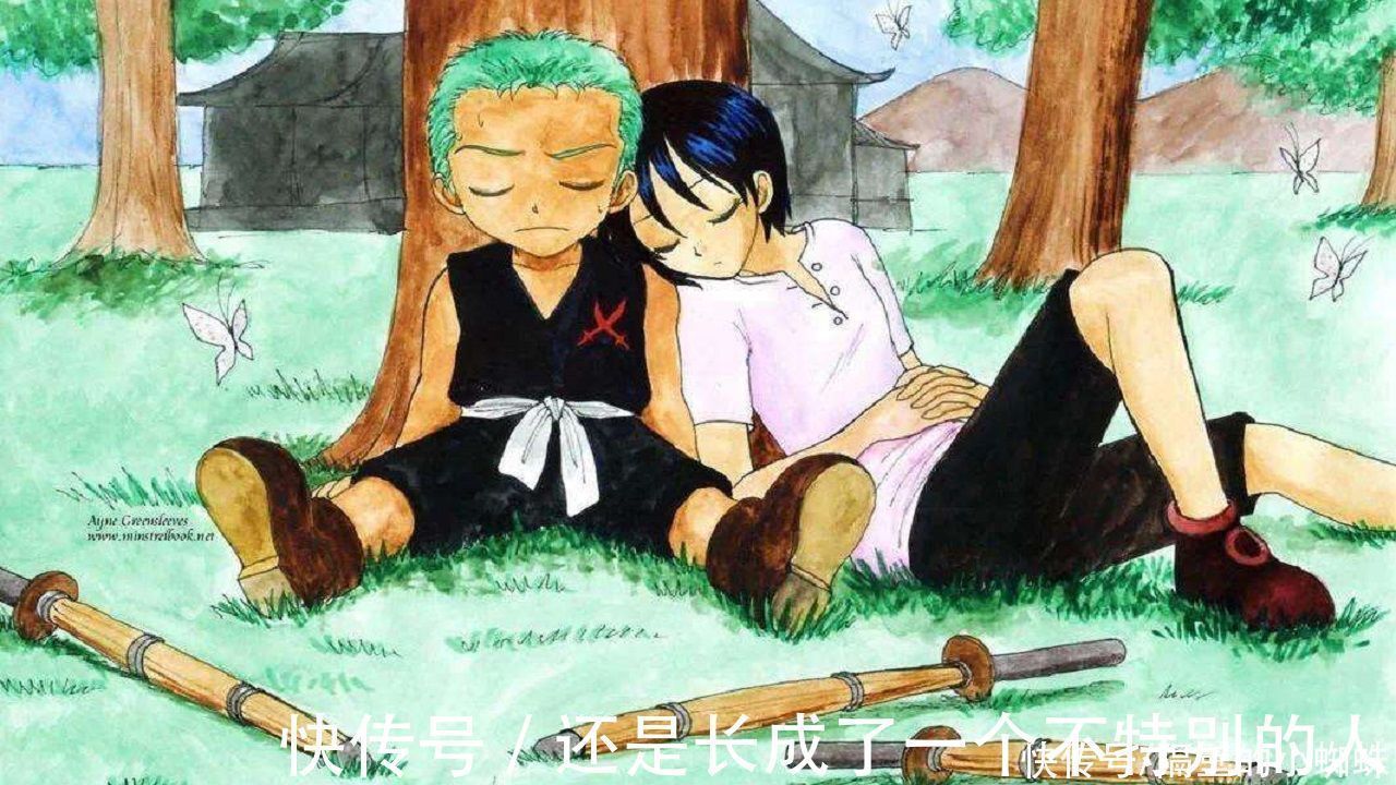 弗兰基|海贼王:索隆有6个绯闻女友,各系风格都有,山治只能眼巴巴看着