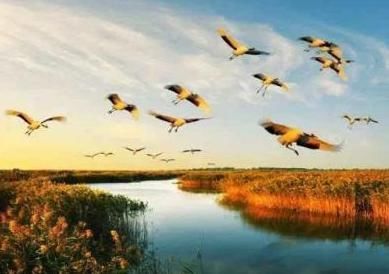 明月@吴文英的一首词,开篇妙语双关,涉笔成趣,全篇更如信手拈来