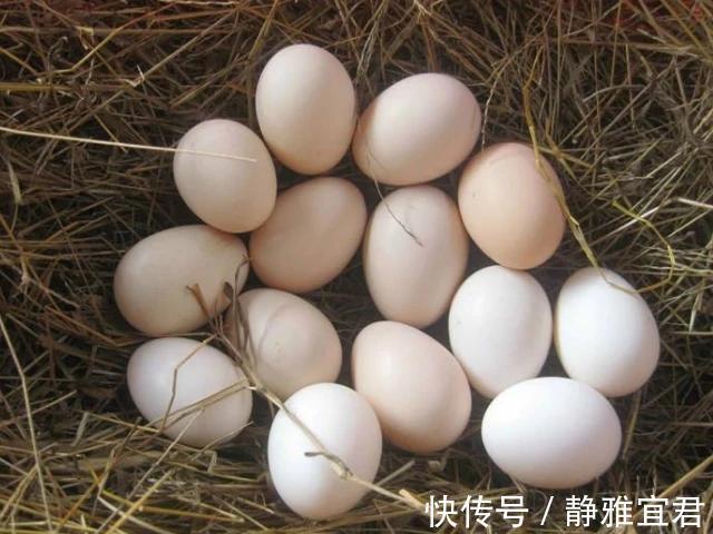 食物|怀孕后,孕妈多吃4种常见食物,益智安胎、或对胎儿发育有好处