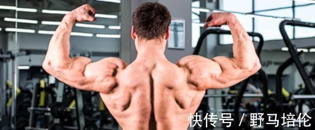 训练|那些“总是被忽视”的背部动作，实际上是你变强的秘技！