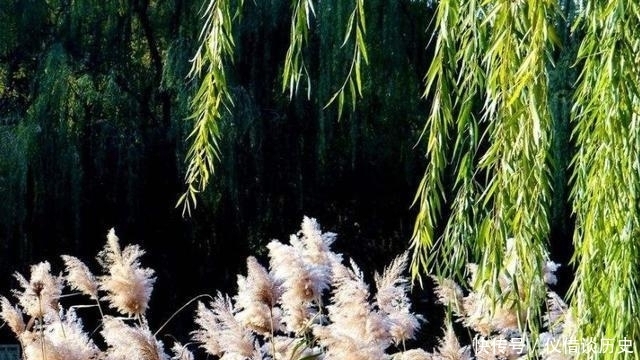  五律·江南秋雨正霏霏