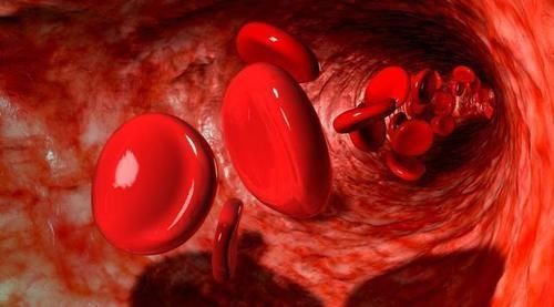 血常规|血常规可以看出是否患有癌细胞吗?听医生怎么说,不妨了解一下