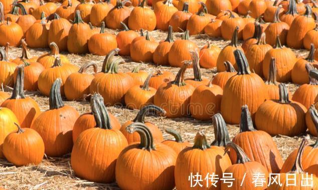 秋燥|8月7号立秋,农村老人常说“立秋有六怕”,分别指的是啥?在理吗