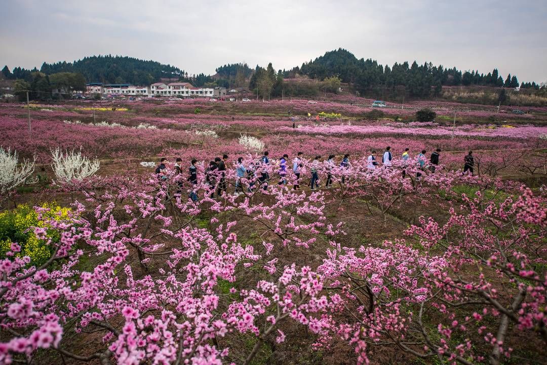 文旅|持续唱响“陈毅故里·绿色乐至”品牌 四川乐至构筑全域旅游新格局