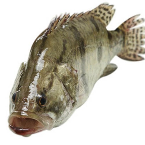 徽菜|徽菜中的“扛把子”!填精血而不滋腻、补气健脾开胃,适合全家人吃~