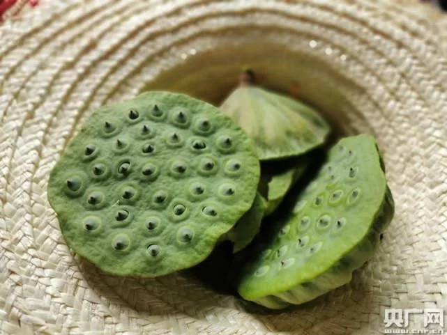 新鲜莲子上市（央广网发 通讯员供图）
