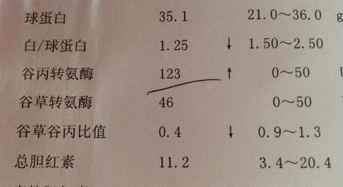 偏高|转氨酶偏高的人，身体会有哪些表现？看完涨知识了