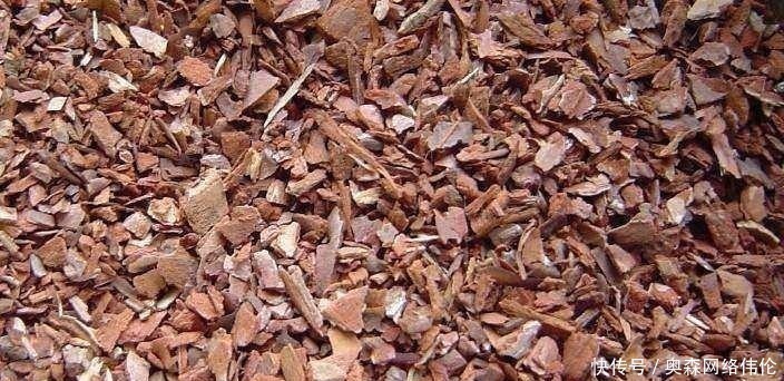 肥效|兰花盆土加点“万能肥料”,用对方法,可能真的10年不需要施肥