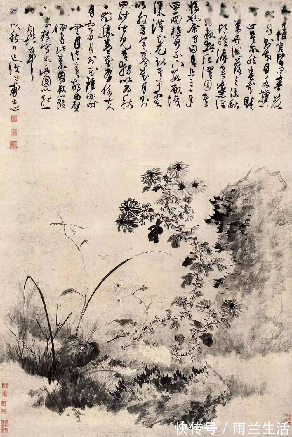 陈淳@与徐渭齐名,这个富二代的一花一世界!