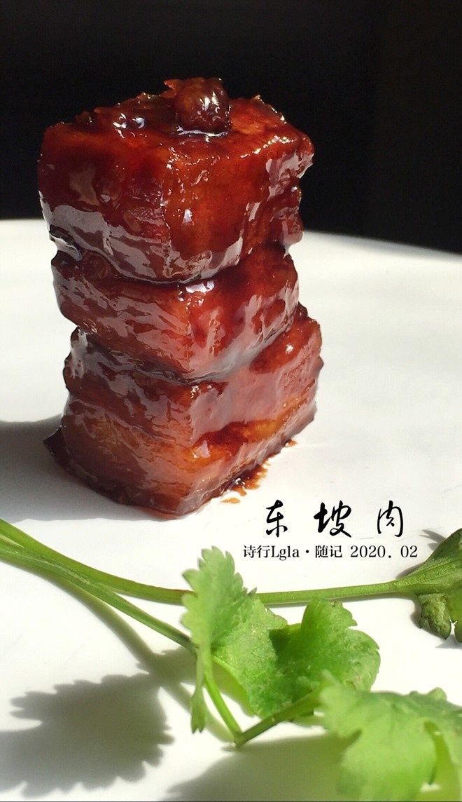  健康美食-东坡肉