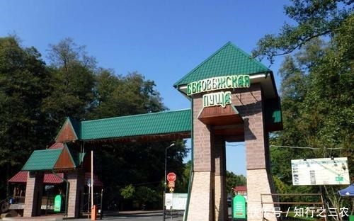 苏波|距苏波边境8公里的别墅，坐落于密林之中，为何成苏联终结之地