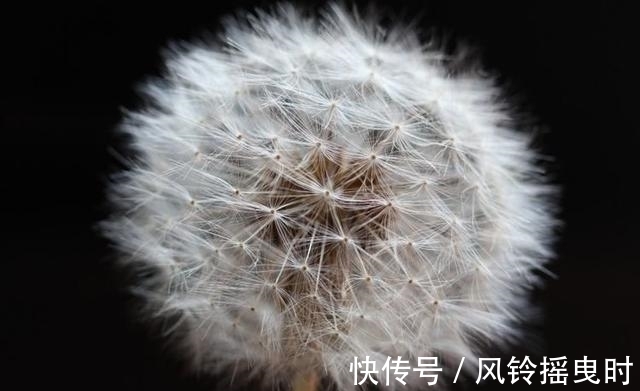 吉星|7月28号开始，这三生肖吉星照耀，最近有大运降临