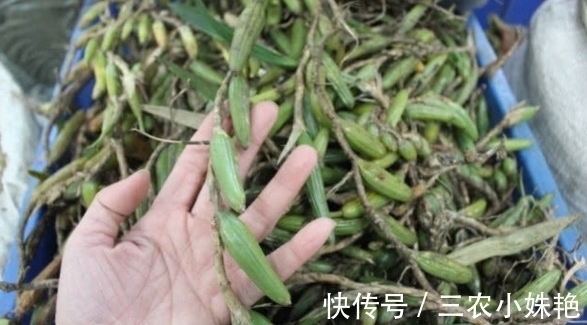 长大|在农村长大的都喝过，牙痛不用上医院，熬水就能治！