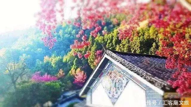 湖南省|9个适合五月出发的绝美旅行地，哪一个让你更心动？