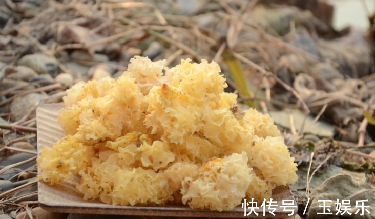 蜂蜜蜂蜜|女性想要身材好,下列食物要多吃,排毒减肥,皮肤细嫩有光泽