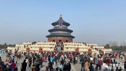 网友|排队看电影、街上遛弯儿、补觉一整天…网友晒出自己的年初一