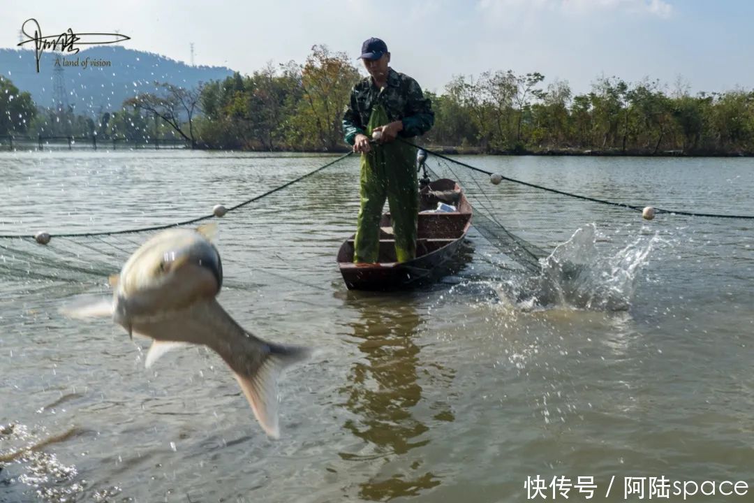 白塔|白塔湖里有个桃花岛，可以现场观看当地村民捕鱼，场面极为壮观