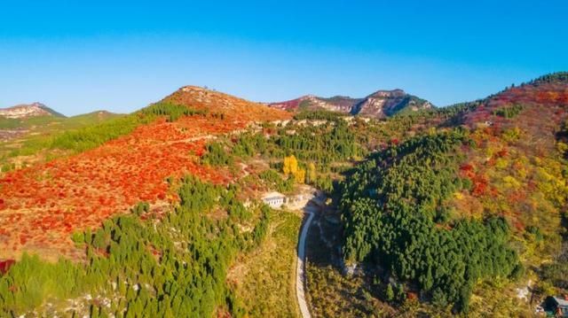 迷人|齐赏好景丨山水红叶，感受深秋里的迷人画卷