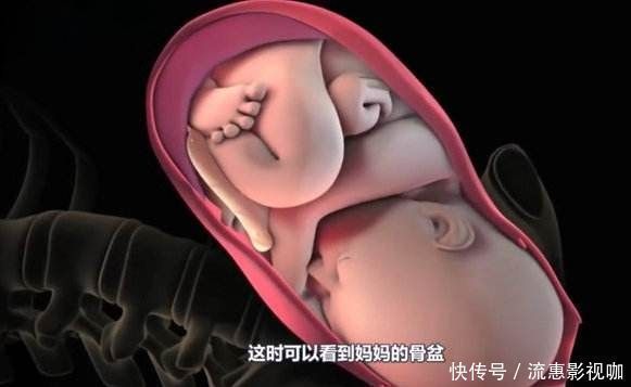 孕期|孕期出现这三点,说明胎儿很爱妈妈哟,孕妈妈心都融化了