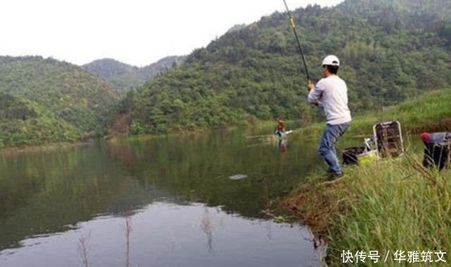 老钓手这绝招果然够狠“对付”大草鱼绰绰有余,后悔现在才知道
