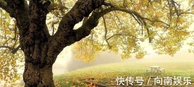 星座|叛逆心十足,最难掌控的三个星座,可面对爱人,往往又容易心软