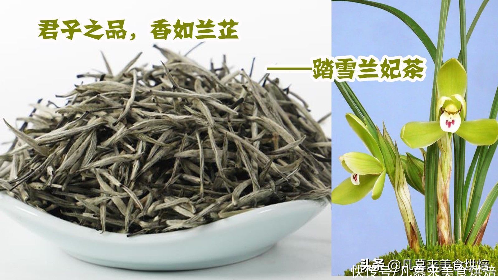 高贵的兰花也能入茶？踏雪兰妃茶属什么茶？踏雪兰妃茶冲泡技巧？