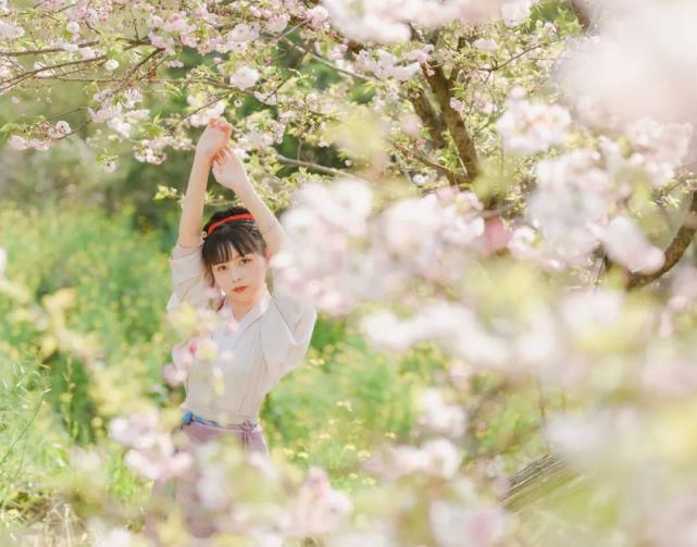 樱花树下，油菜花旁，篁岭春色与汉服古风撞个满怀！