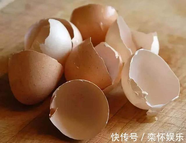 技巧|秋季如何养蟹爪兰,冬日才能花繁叶茂抓住3小技巧就够了