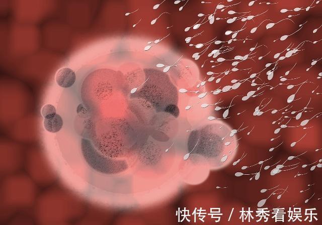 男性|具备三种共性的男性,多半生育能力比较强,不妨了解一下