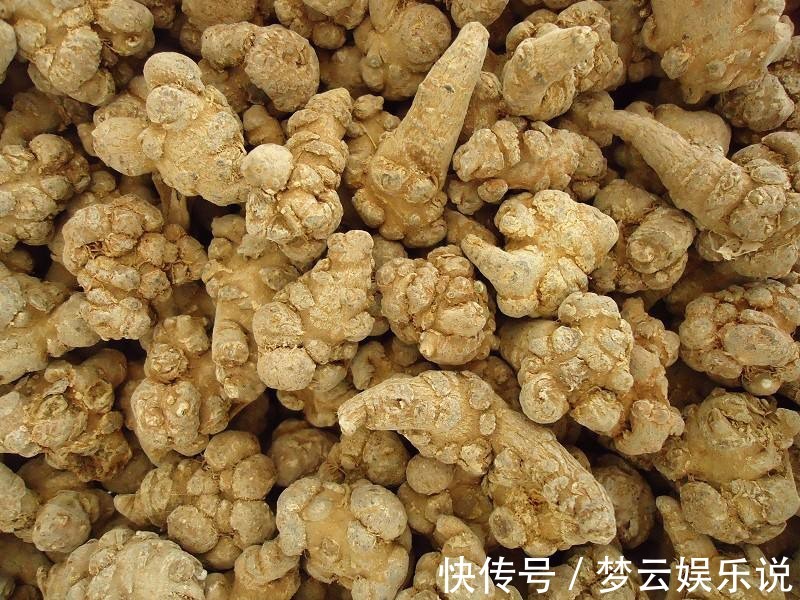 肝损伤|中科医学院教授:这些中药会导致肝损伤!谨慎使用,肝不好百病生