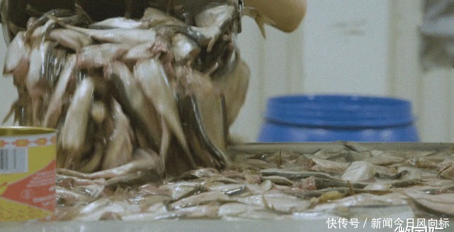 工厂|全球最臭的工厂,臭到狗都没法进去直接呕吐,却有很多人爱吃