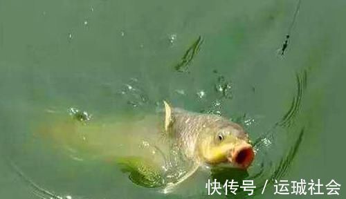 钓鱼|钓具选择“坑”很多,这些华而不实的钓具,多数没啥用!