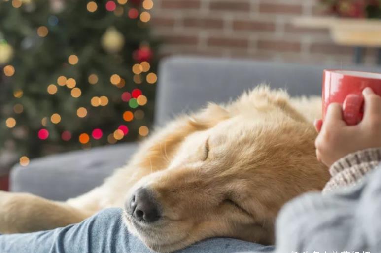 小女孩|6岁女孩突然“秃头”,奶奶以为是鬼剃头,医生怒斥无知