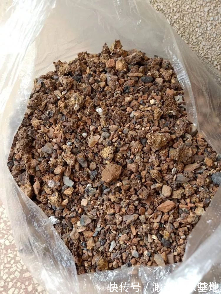 土壤|小摊贩废弃的煤渣，没想到是种多肉的绝佳利器，但你要适当处理