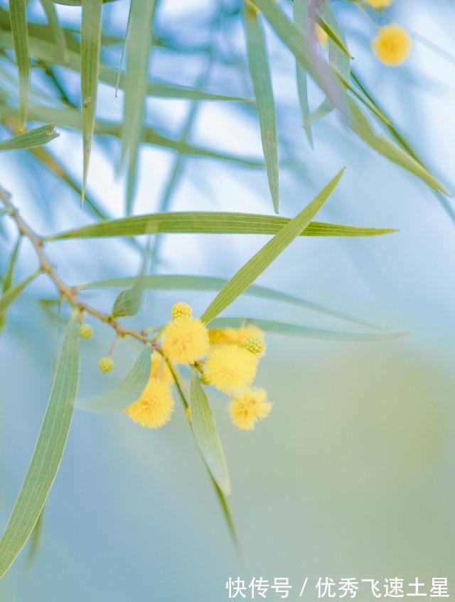 爱情|好事不断，幸福相伴，迎接爱情，携手相伴，度过美好未来