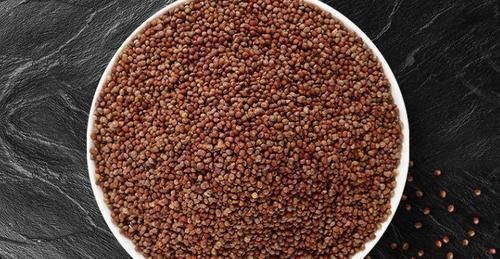 这种叶子夏天到处是,泡茶喝散寒解毒、降压降脂阳台就能种