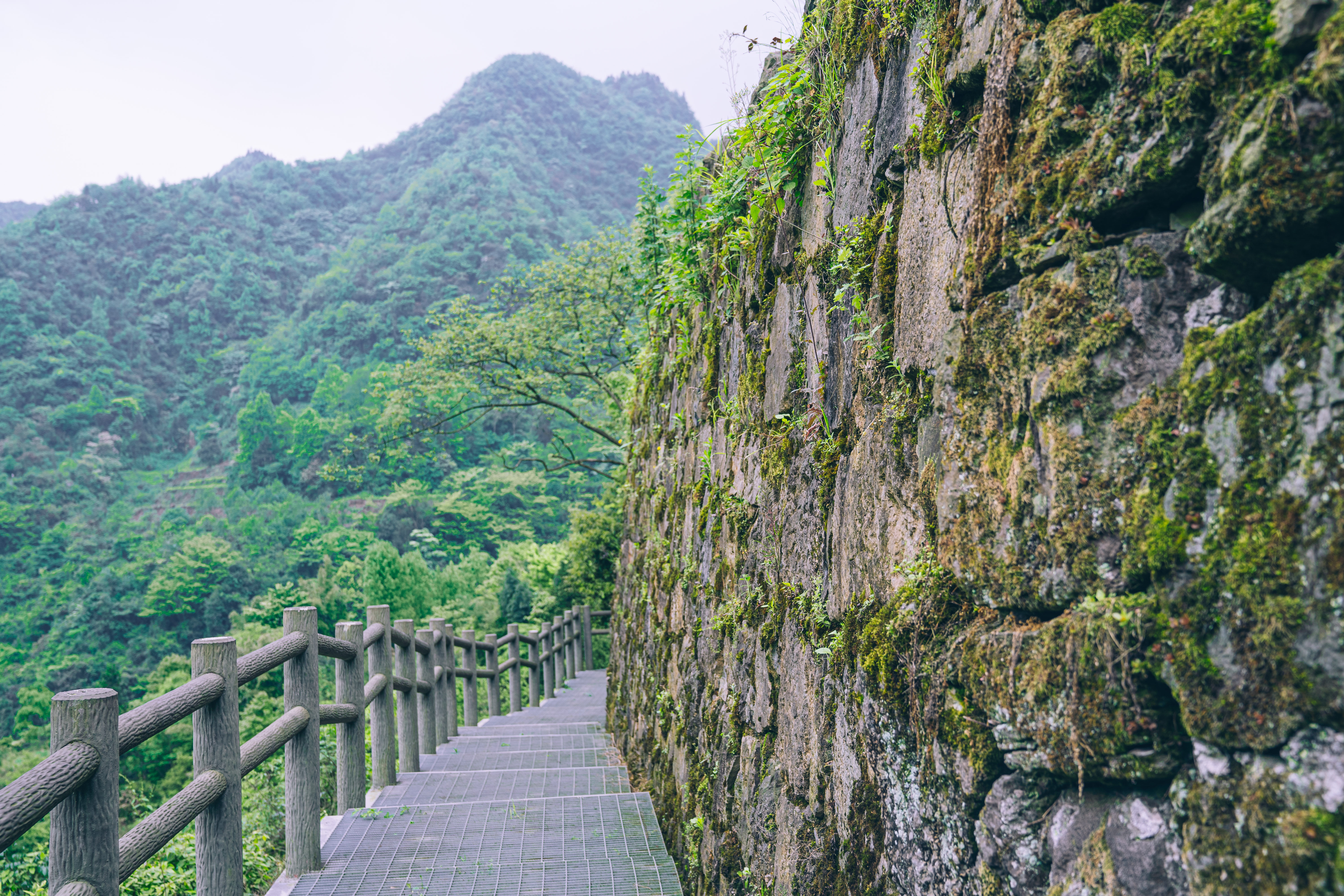 贵州北部之旅，近看三省奇迹