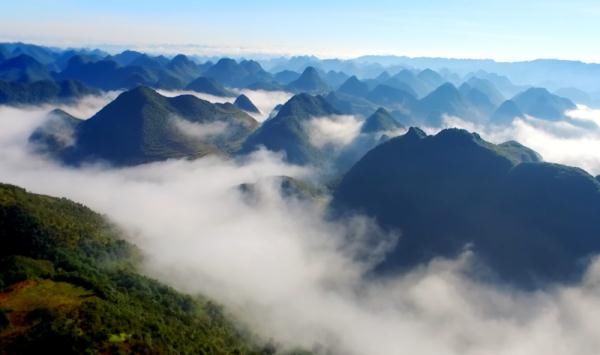 北回归线|文山三七宣传片——《时光里的三七》