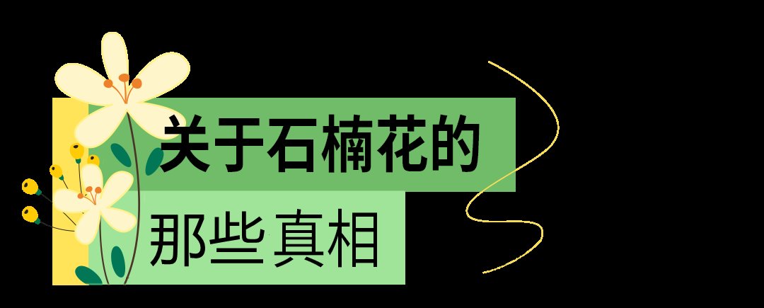 天呐！十堰街头飘出“不可描述”的气味，竟然是......