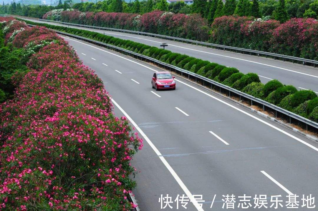 家里养花,避开8种“小毒花”,家里有老人孩子,孕妇的,别靠近