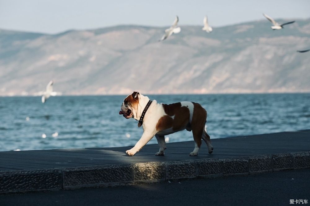 记录春节前勒川滇环线游记