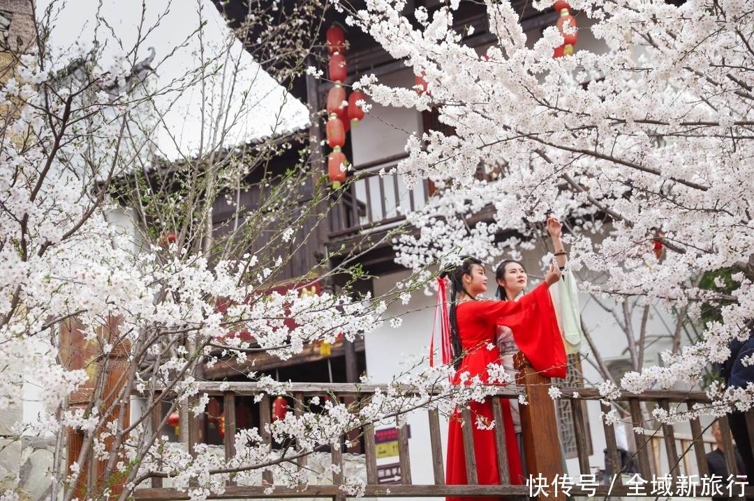 永安寺|锦里沟的樱花小火车将于今年3月1日发车了~