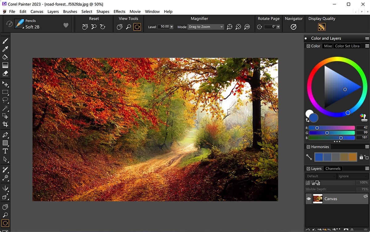 Corel Painter 2023 v23.0.0.244 美术绘图设计-下载否
