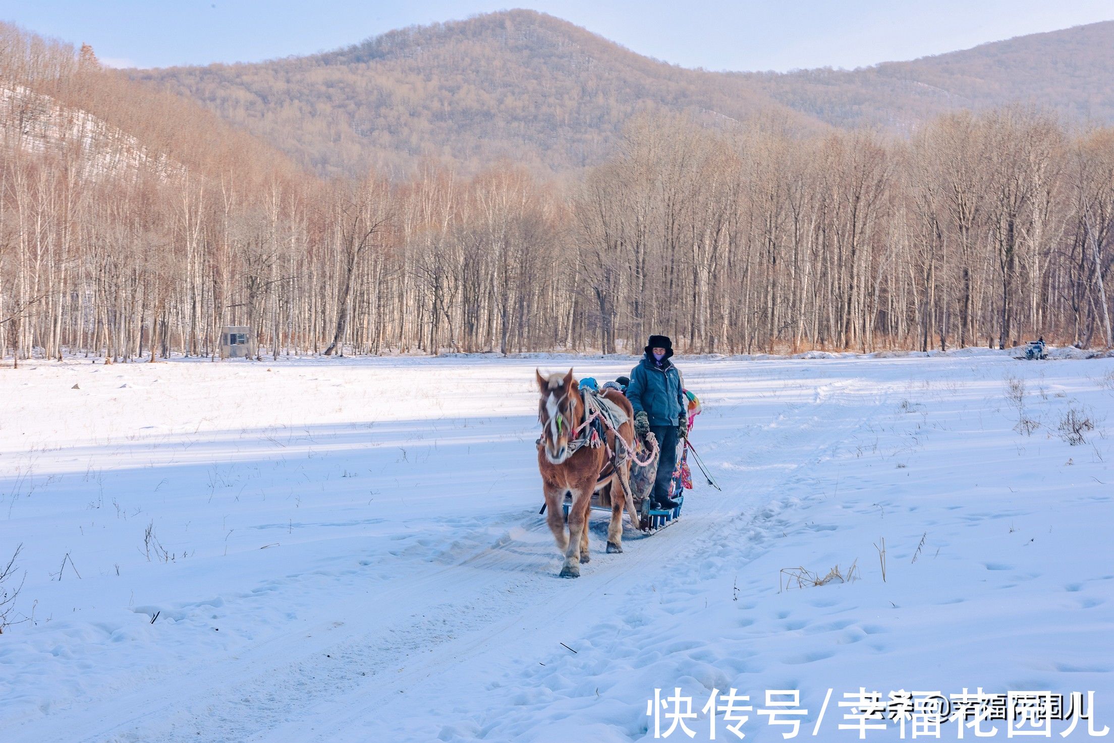 老桥|赏冰、玩雪、看美景，找回儿时过年的味道，就在非常冰雪黑龙江