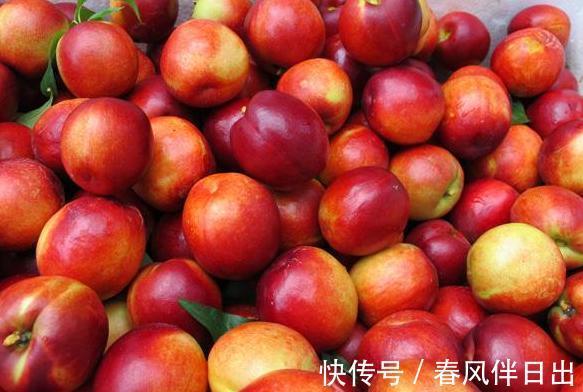 维生素c|女性不想显老，不妨多吃此果，美白护肤，补益气血、养阴生津