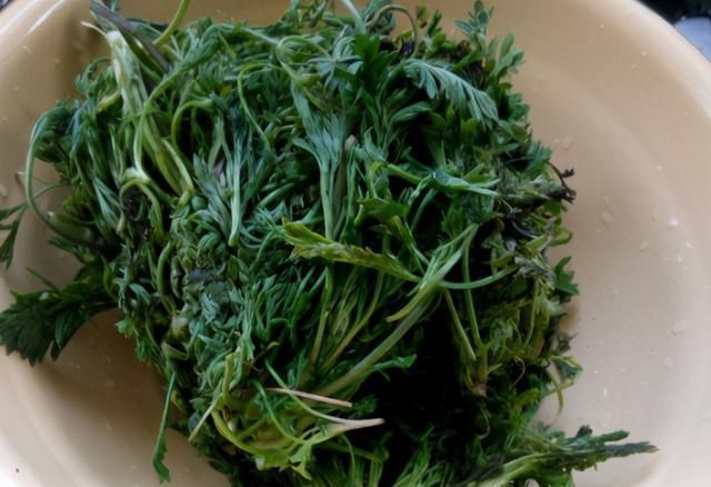 一日三餐|全身都是宝的菜，可惜很多人当草，我家隔三差五吃，做早餐特好