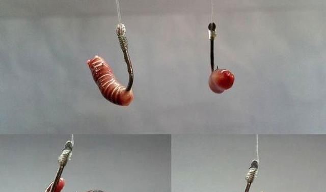 钓鱼时到底该不该露钩别争论了，实践才能出真知