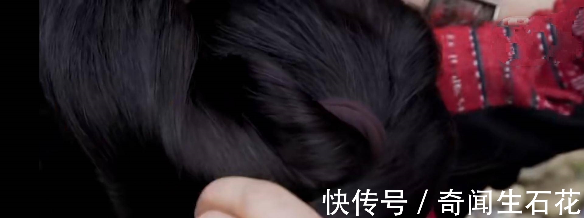 洗发露|这里的女人不舍得剪头发,连老人都不长白发,秘诀是一种洗发露