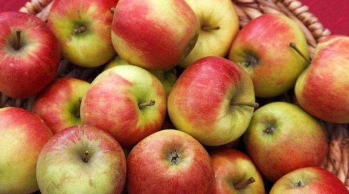 苹果与此物一起煮,连续喝一周,排毒祛湿,腰