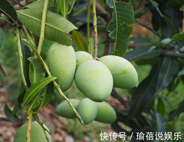 湿气|在夏天，三种水果要少吃，越吃湿气越重，可惜很多人不重视！